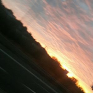 Meet your Posher, Madi